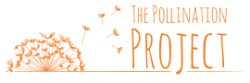 Website funding provided by The Pollination Project
